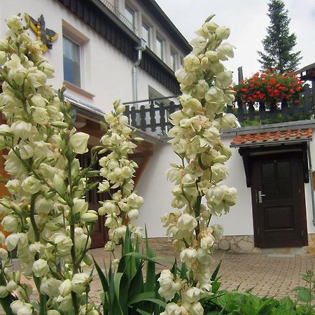 Ferienhaus Haus Am Wald Stolberg  Bagian luar foto