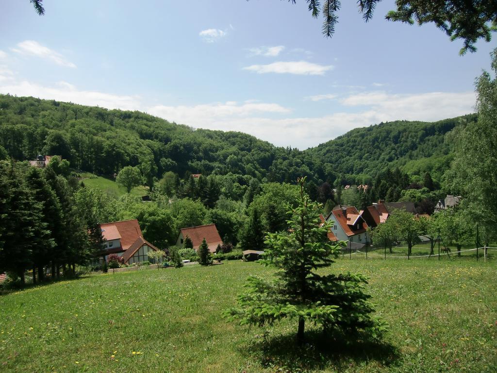 Ferienhaus Haus Am Wald Stolberg  Bagian luar foto