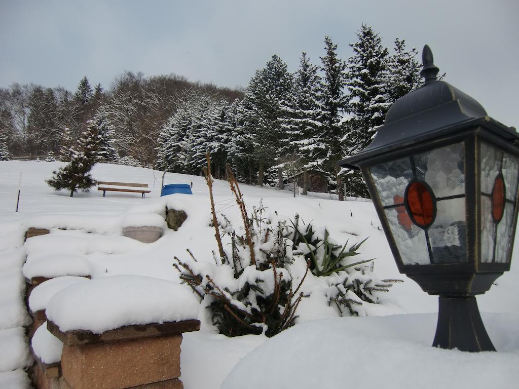 Ferienhaus Haus Am Wald Stolberg  Bagian luar foto