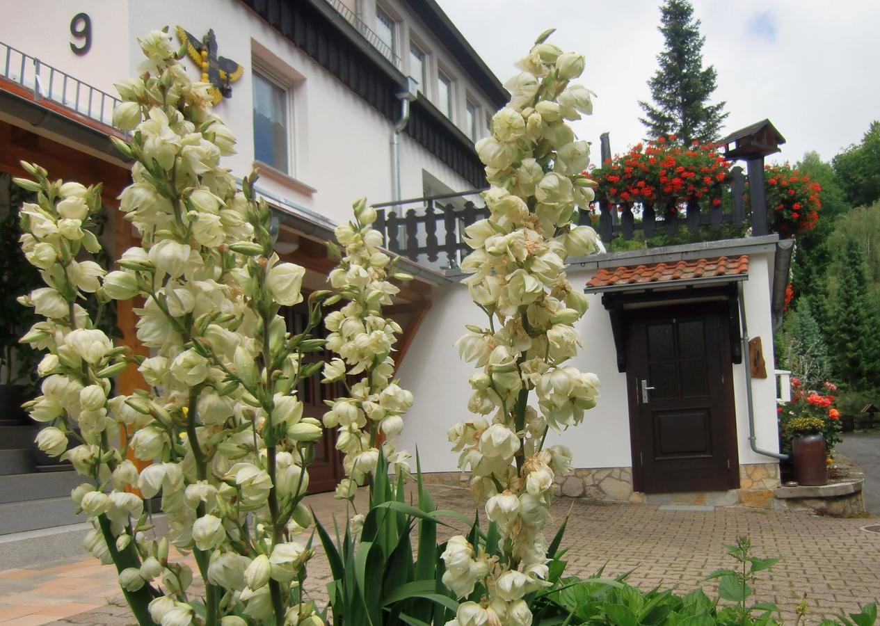 Ferienhaus Haus Am Wald Stolberg  Bagian luar foto