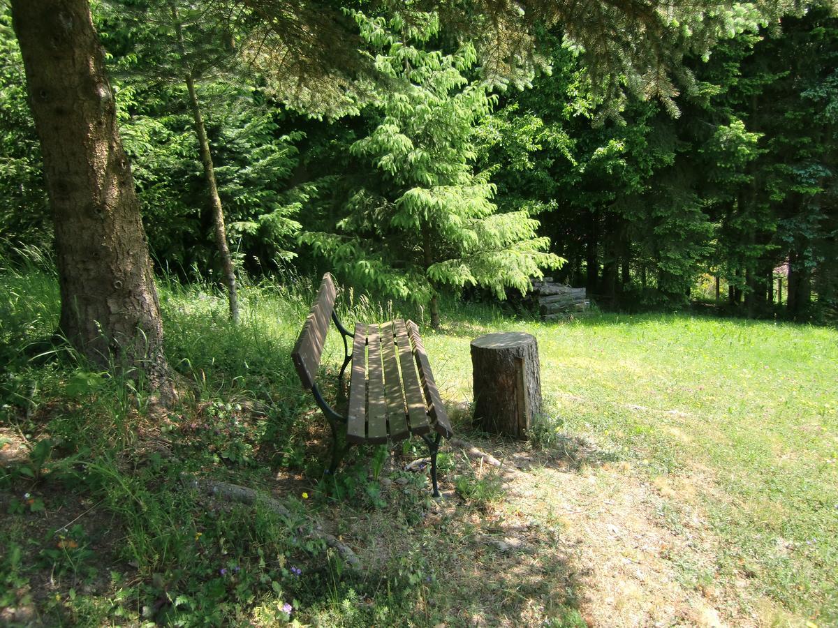 Ferienhaus Haus Am Wald Stolberg  Bagian luar foto